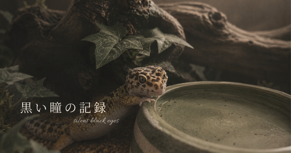 流木の中で静かに暮らすヒョウモントカゲモドキ