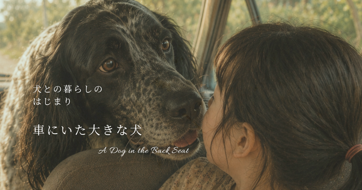 車の中の犬