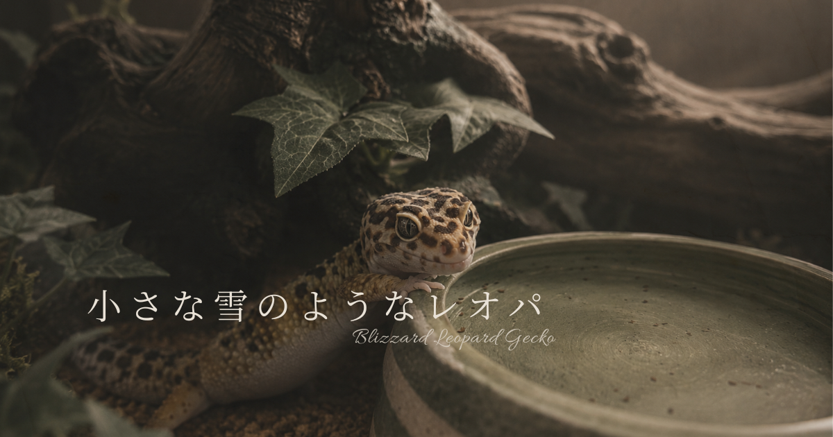 流木の中で静かに暮らすヒョウモントカゲモドキ