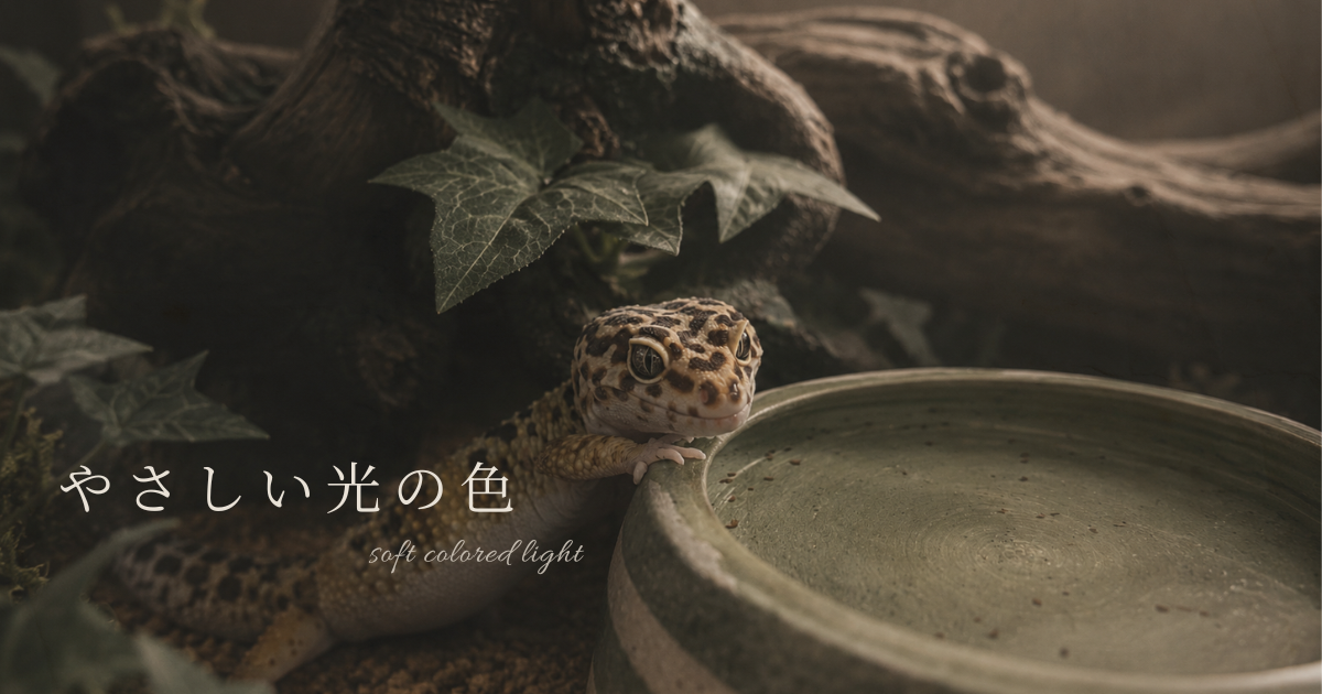 流木の中で静かに暮らすヒョウモントカゲモドキ