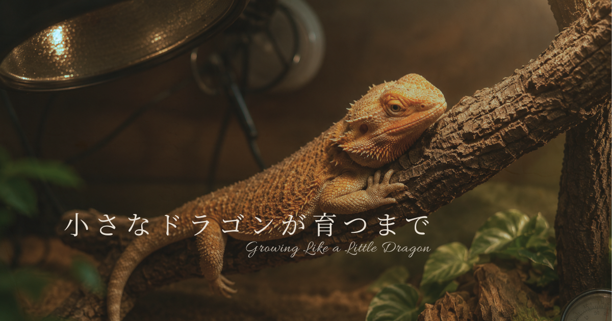 木にのぼるフトアゴ
