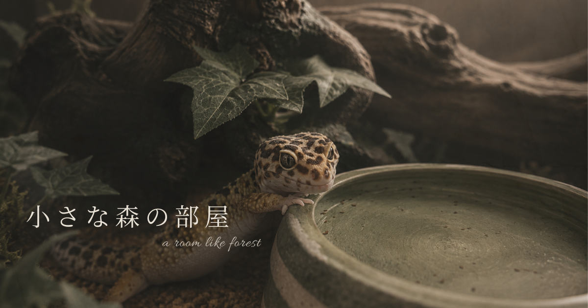 流木の中で静かに暮らすヒョウモントカゲモドキ