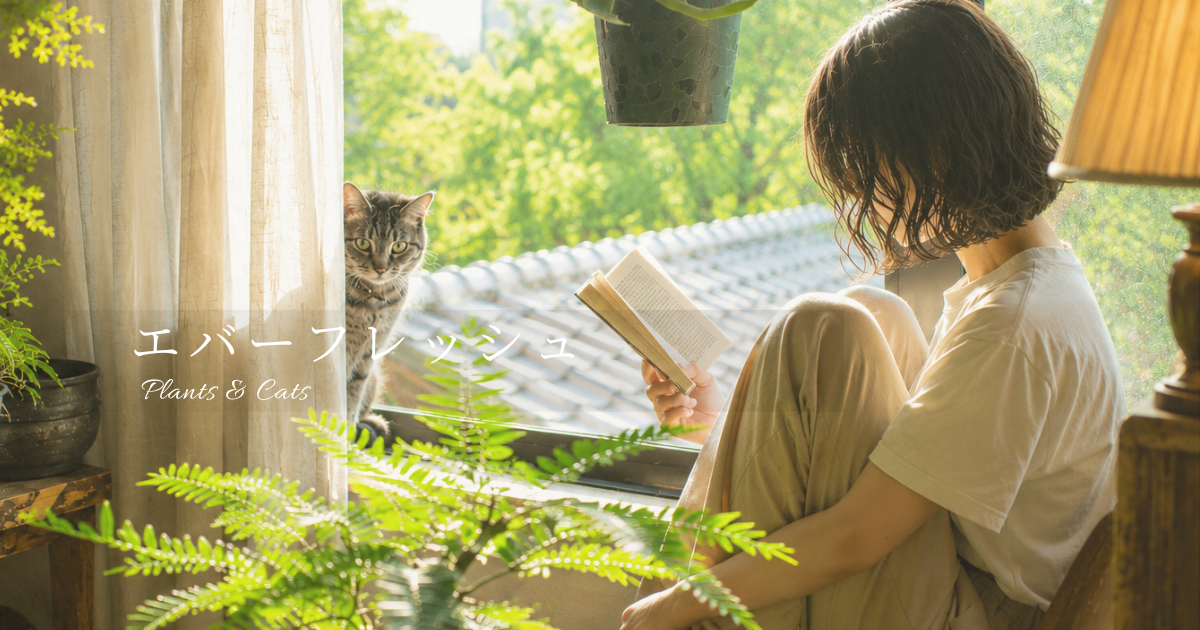 やさしい光に包まれた植物