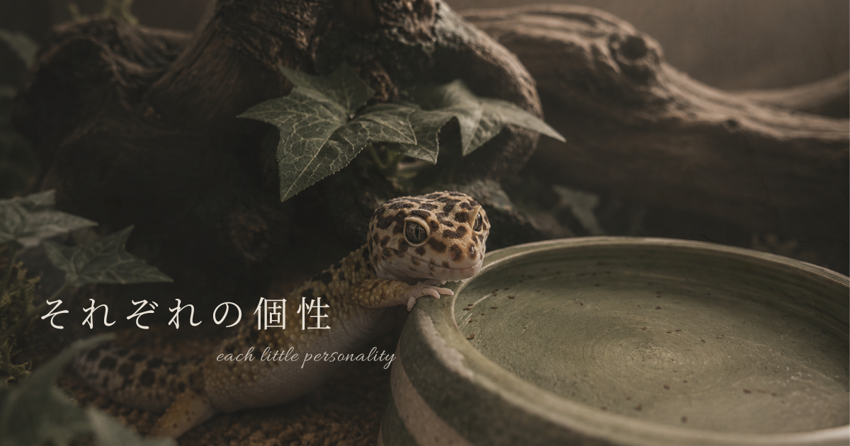 流木の中で静かに暮らすヒョウモントカゲモドキ