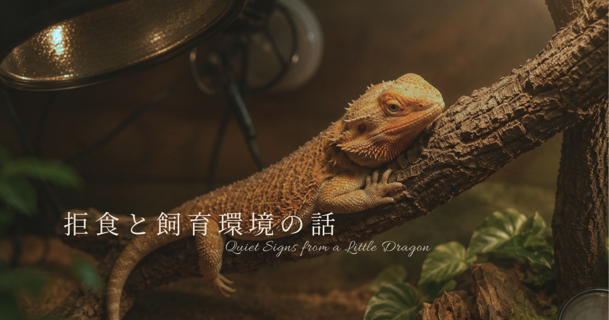 木にのぼるフトアゴ