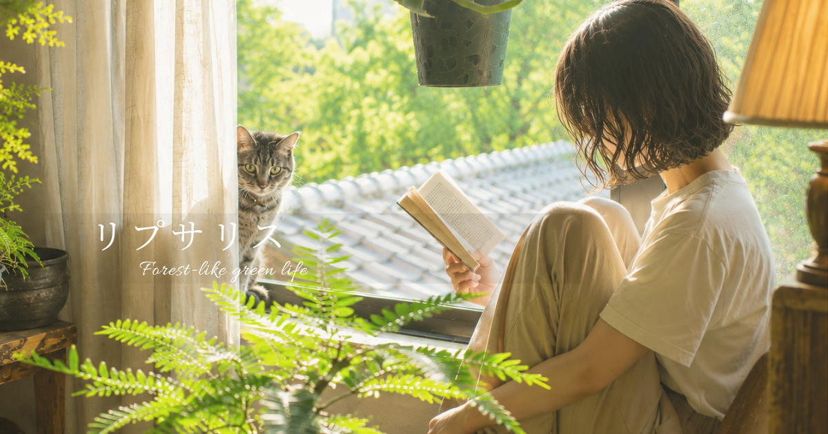 やさしい光に包まれた植物